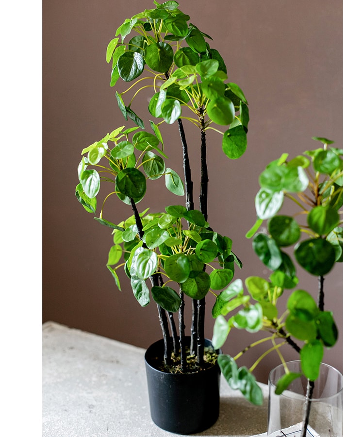 A 26-inch tall artificial potted Pilea plant with lush green leaves in a black pot, perfect for home or office decor.