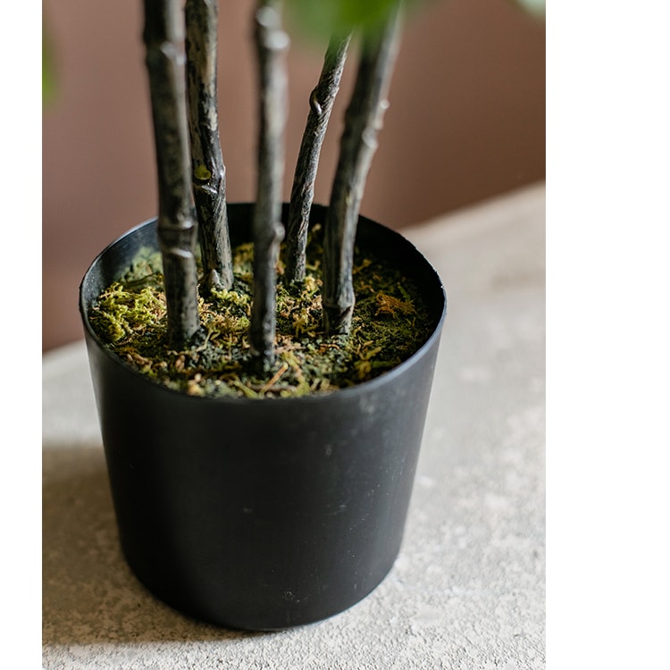 A 26-inch tall artificial potted Pilea plant with lush green leaves in a black pot, perfect for home or office decor.