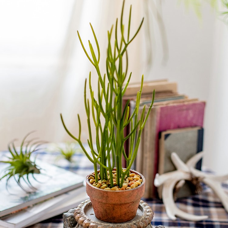 Artificial Potted Plant Pencil Cactus in a light brown pot, showcasing realistic green foliage.