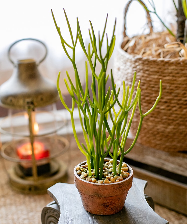 Artificial Potted Plant Pencil Cactus in a light brown pot, showcasing realistic green foliage.