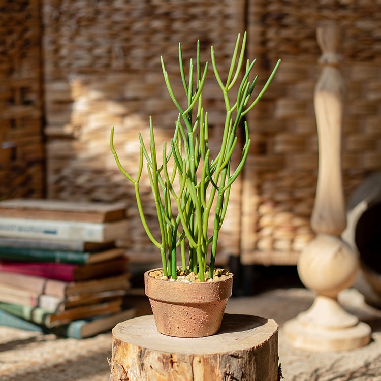 Artificial Potted Plant Pencil Cactus in a light brown pot, showcasing realistic green foliage.