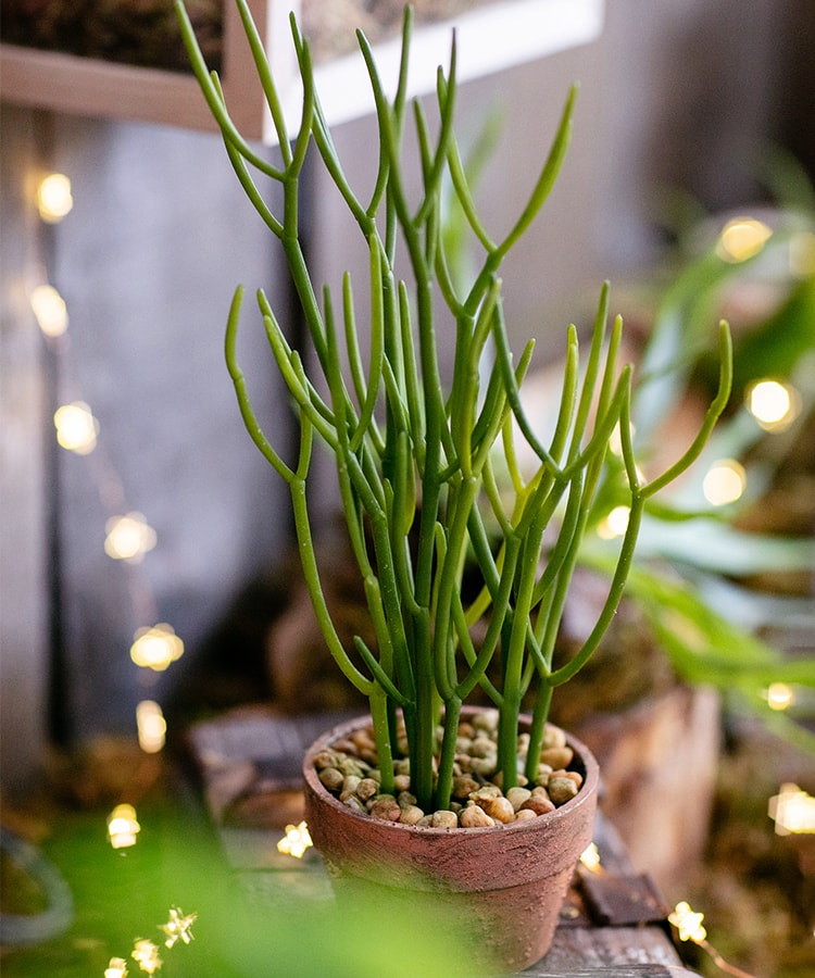 Artificial Potted Plant Pencil Cactus in a light brown pot, showcasing realistic green foliage.