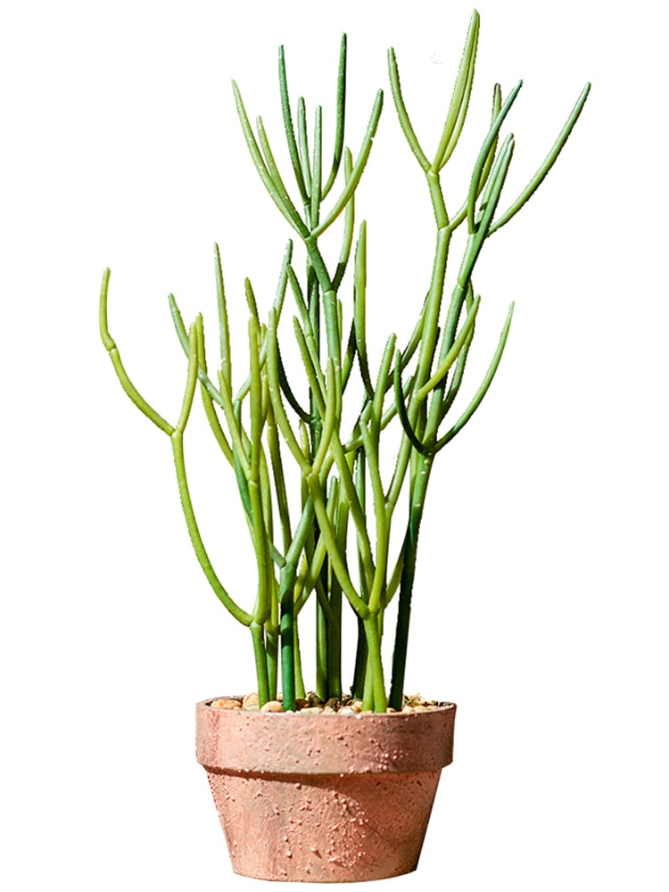 Artificial Potted Plant Pencil Cactus in a light brown pot, showcasing realistic green foliage.