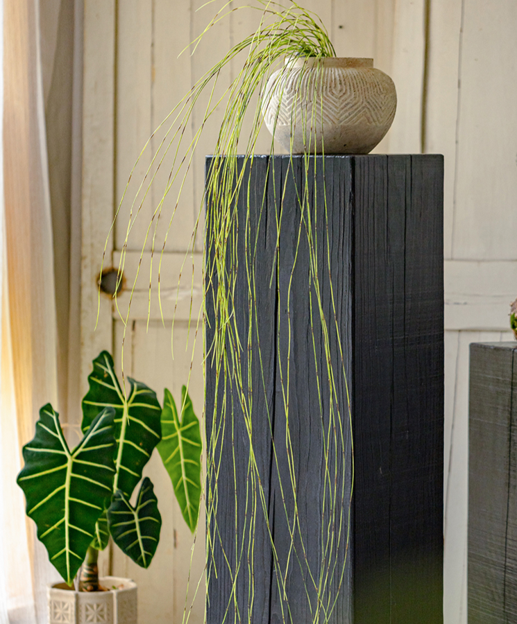 Artificial Rough Horsetail Thin Vine Ikebana in vibrant green and yellow-green colors, showcasing its realistic design and long length.