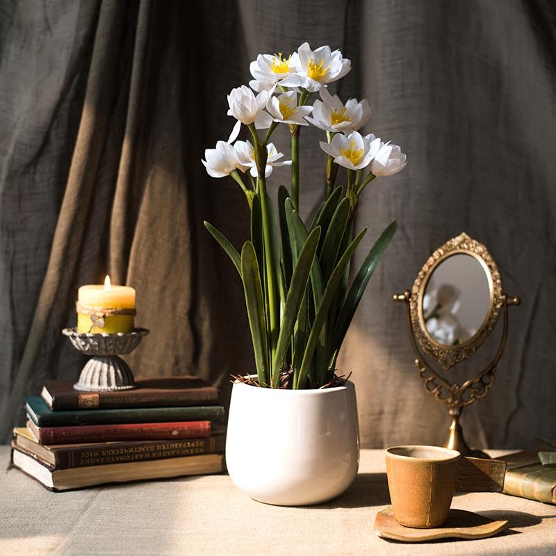 Artificial Silk Real Touch Daffodil Flower Bonsai in a ceramic vase, showcasing vibrant yellow and white petals with lush green leaves.