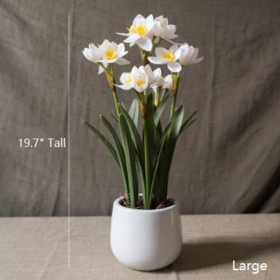 Artificial Silk Real Touch Daffodil Flower Bonsai in a ceramic vase, showcasing vibrant yellow and white petals with lush green leaves.