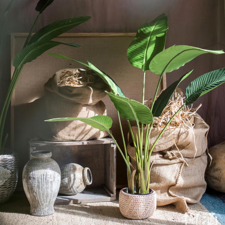 Artificial Silk Travelers Palm Tree in Pot, showcasing lush green leaves and a stylish black pot.