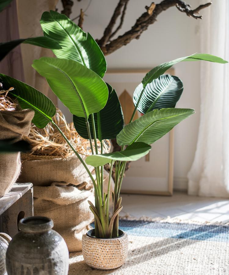 Artificial Silk Travelers Palm Tree in Pot, showcasing lush green leaves and a stylish black pot.