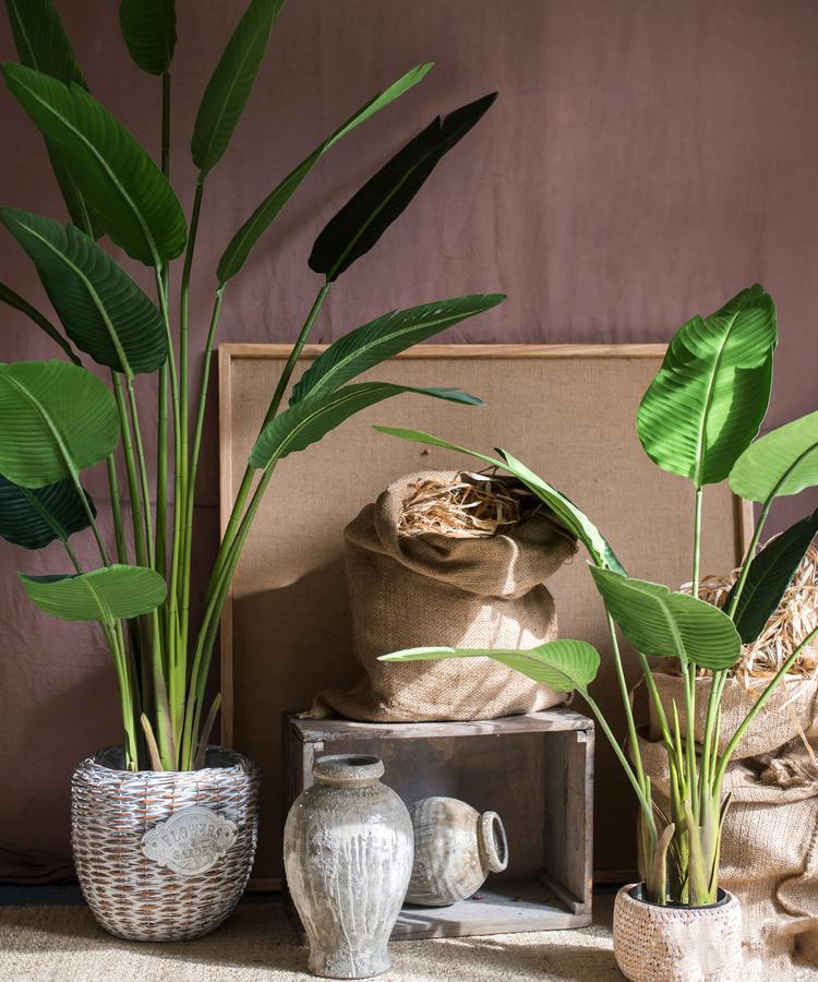 Artificial Silk Travelers Palm Tree in Pot, showcasing lush green leaves and a stylish black pot.