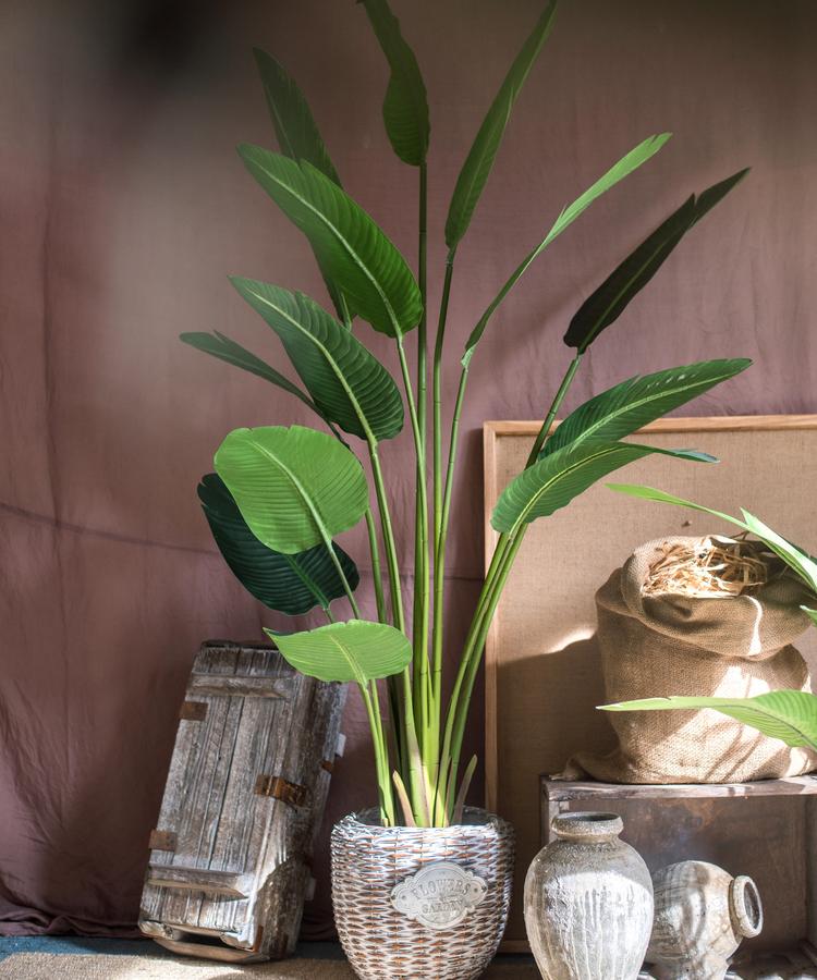 Artificial Silk Travelers Palm Tree in Pot, showcasing lush green leaves and a stylish black pot.