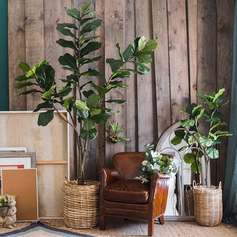 Lifelike Artificial Fiddle Leaf Tree in a black pot, showcasing large green leaves and a realistic appearance.