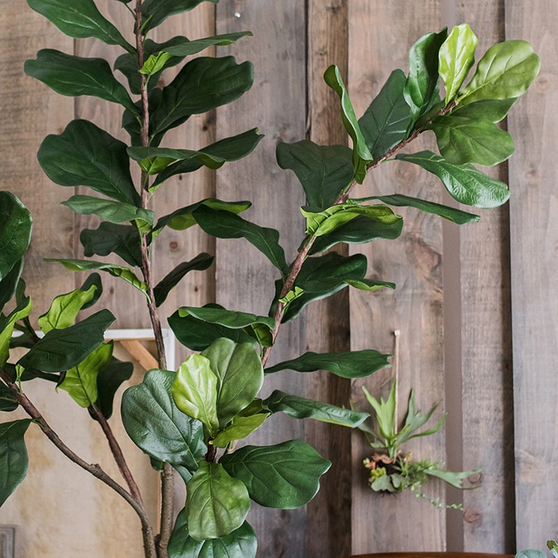 Lifelike Artificial Fiddle Leaf Tree in a black pot, showcasing large green leaves and a realistic appearance.