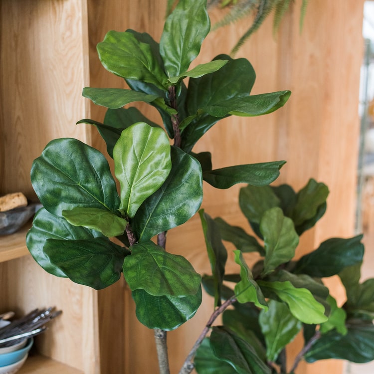 Lifelike Artificial Fiddle Leaf Tree in a black pot, showcasing large green leaves and a realistic appearance.