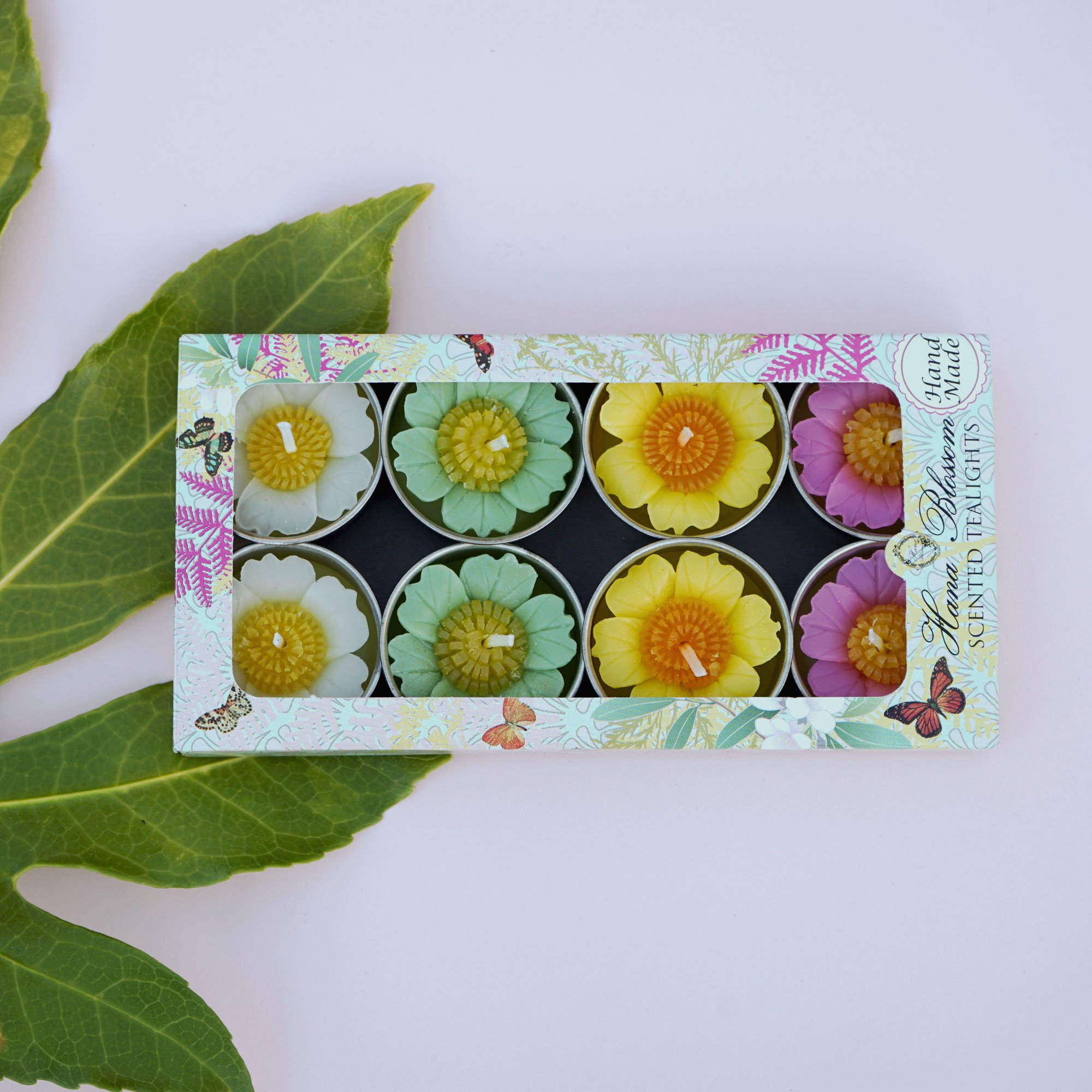 A set of Assorted Primrose Scented Tealights in a botanic garden printed box, showcasing their heart-shaped petals and vibrant colors.