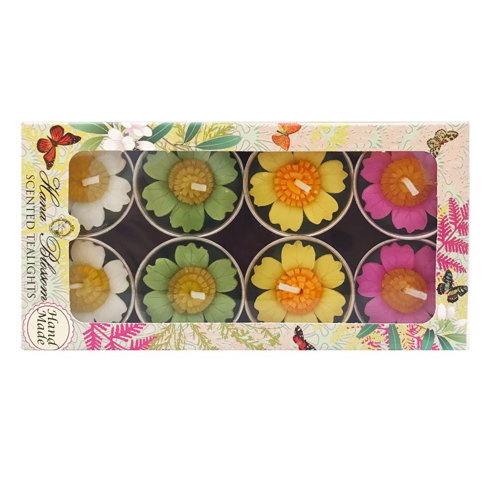 A set of Assorted Primrose Scented Tealights in a botanic garden printed box, showcasing their heart-shaped petals and vibrant colors.