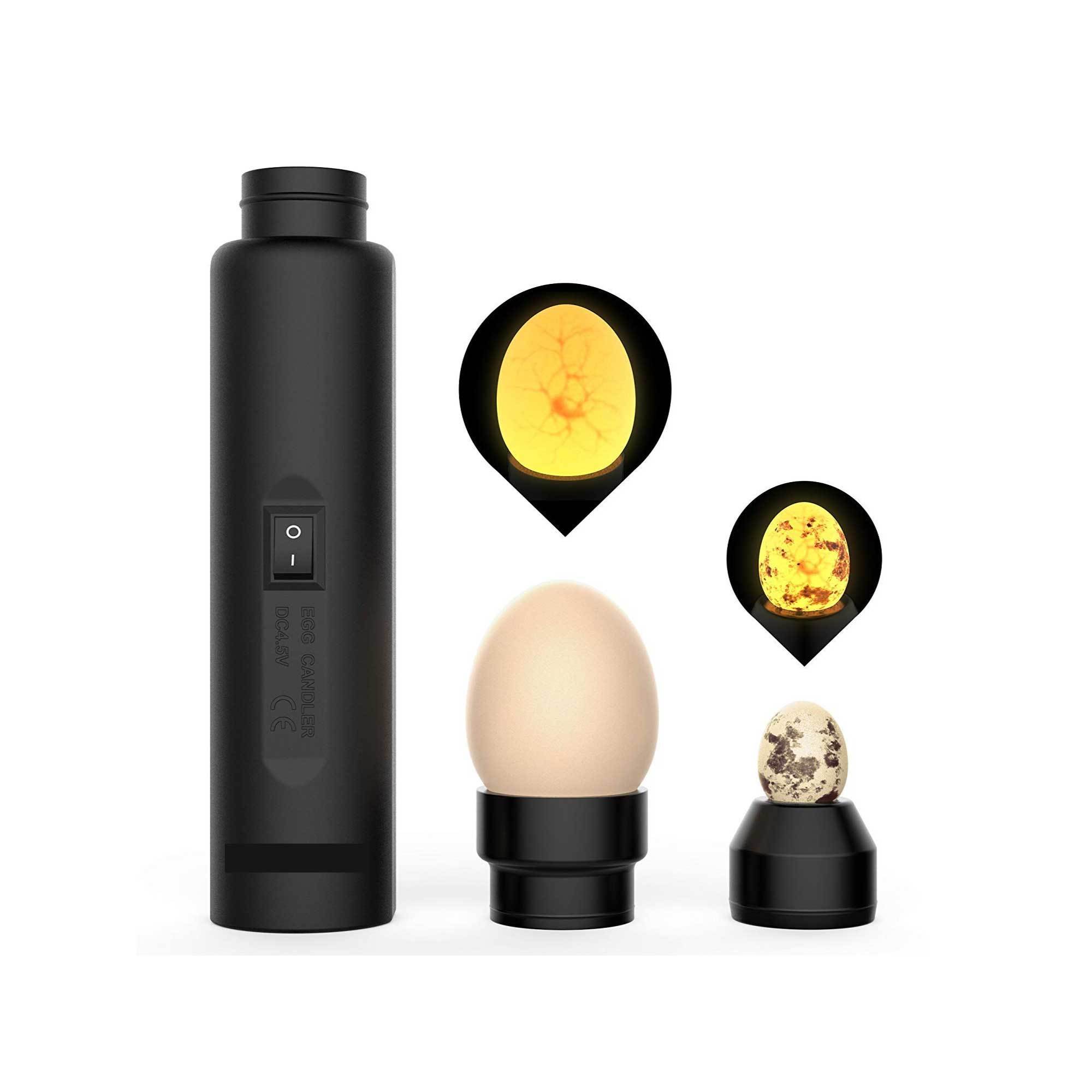 AU Plug Egg Candler Lamp with LED light and interchangeable heads for egg monitoring.