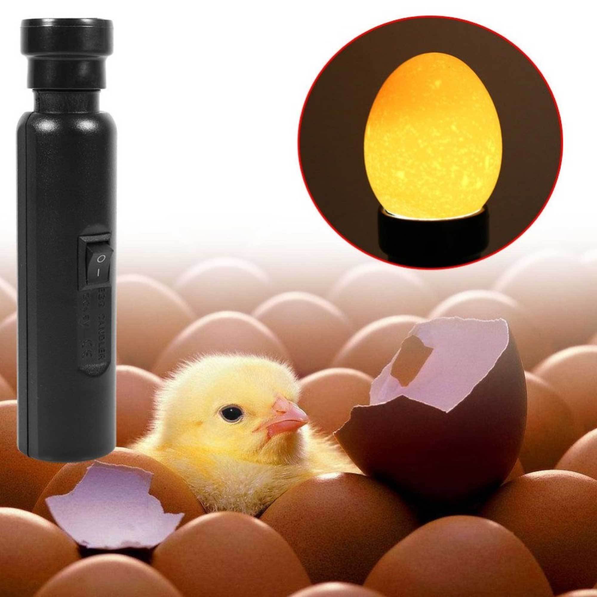 AU Plug Egg Candler Lamp with LED light and interchangeable heads for egg monitoring.