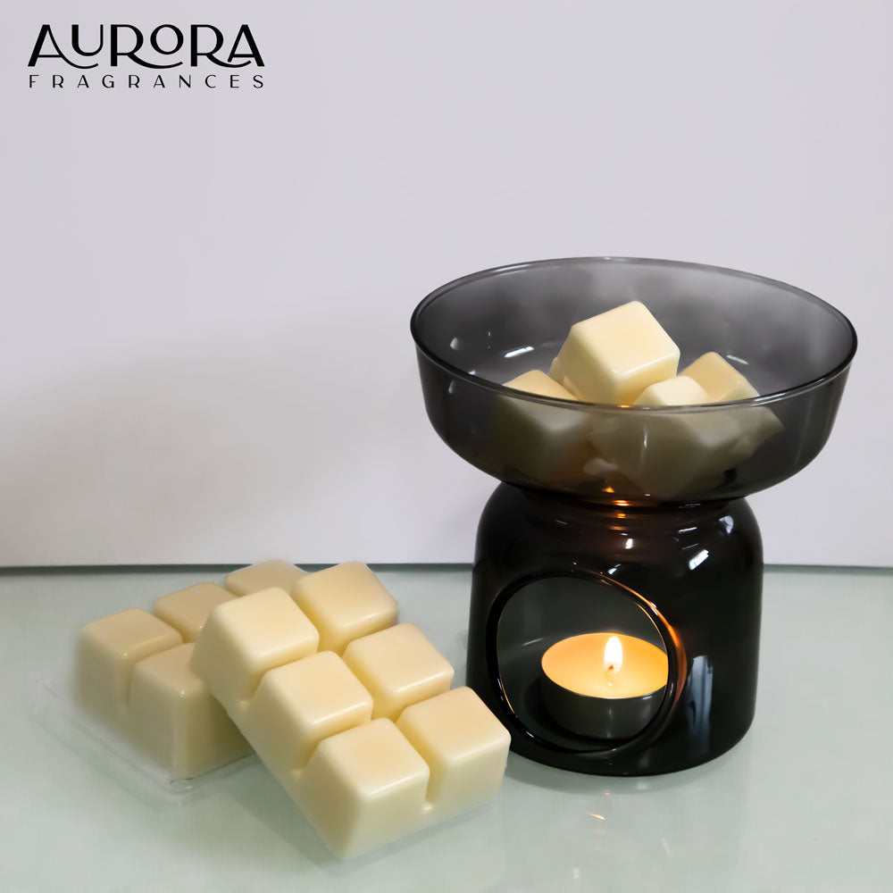 Aurora Christmas Pudding Soy Wax Melts pack of 5, featuring festive packaging and soy wax cubes.