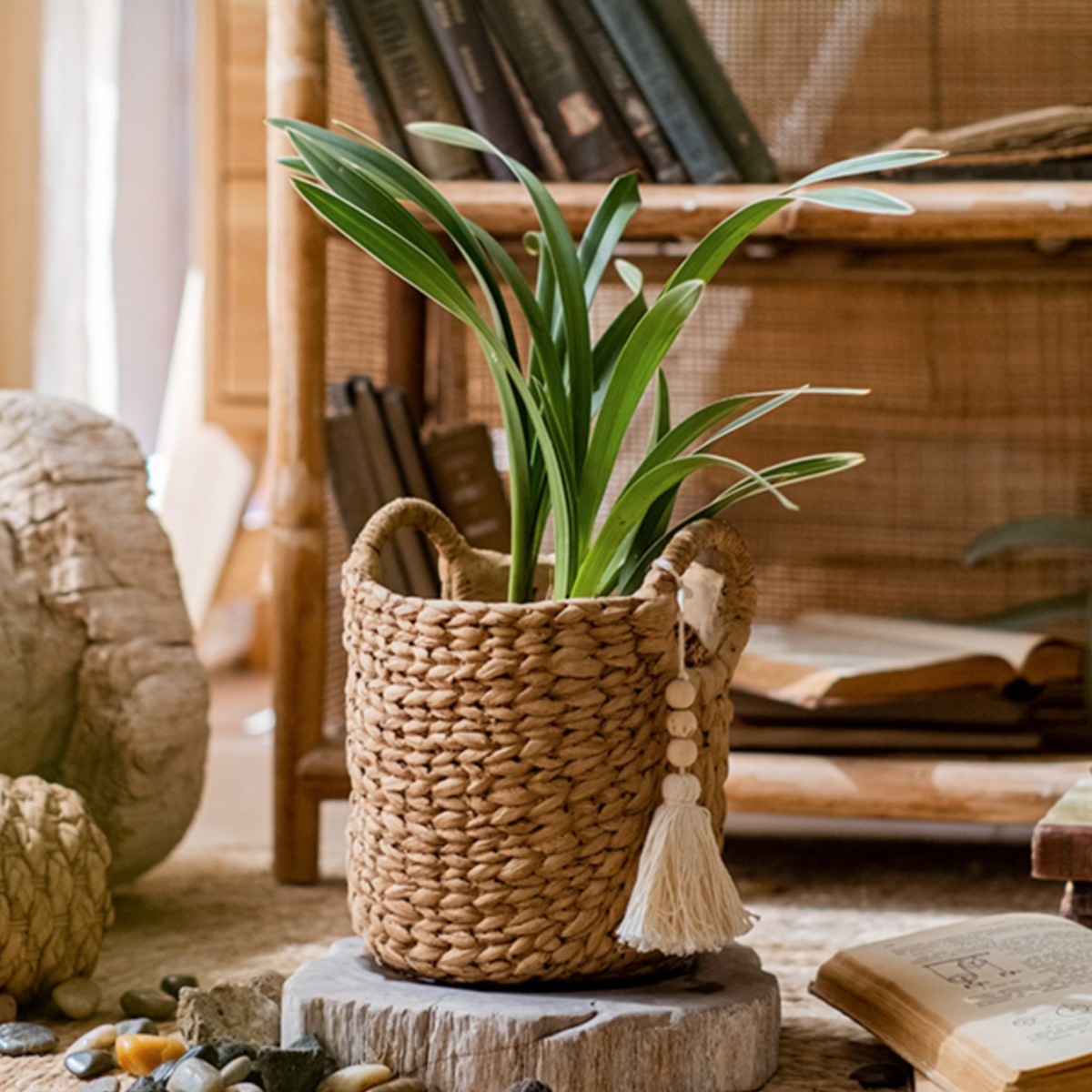 Bag with Tassel Cement Planter in khaki color, featuring a drainage hole and stylish design, perfect for indoor or outdoor use.