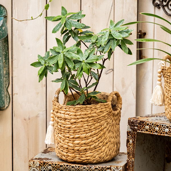 Bag with Tassel Cement Planter in khaki color, featuring a drainage hole and stylish design, perfect for indoor or outdoor use.