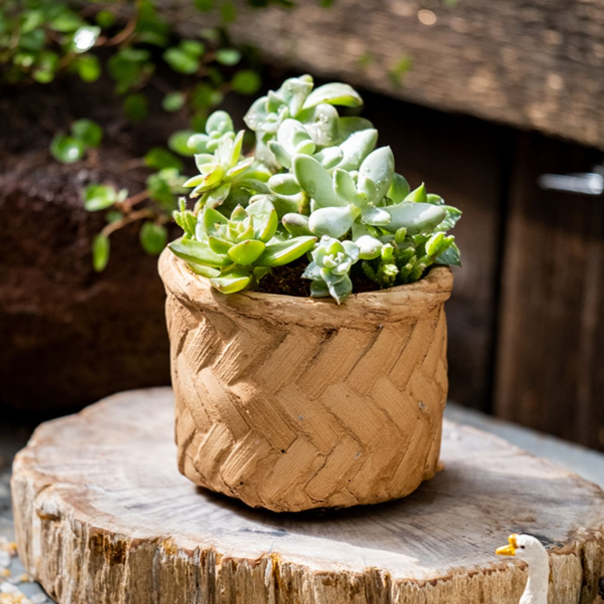 Bamboo Looking Cement Planter in khaki color, showcasing its unique bamboo-like design and drainage hole.