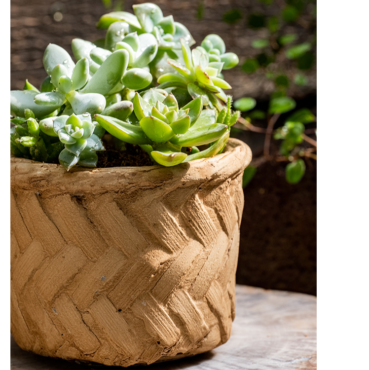 Bamboo Looking Cement Planter in khaki color, showcasing its unique bamboo-like design and drainage hole.