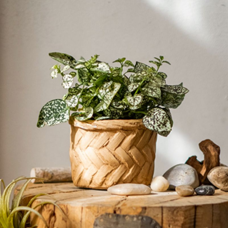 Bamboo Looking Cement Planter in khaki color, showcasing its unique bamboo-like design and drainage hole.