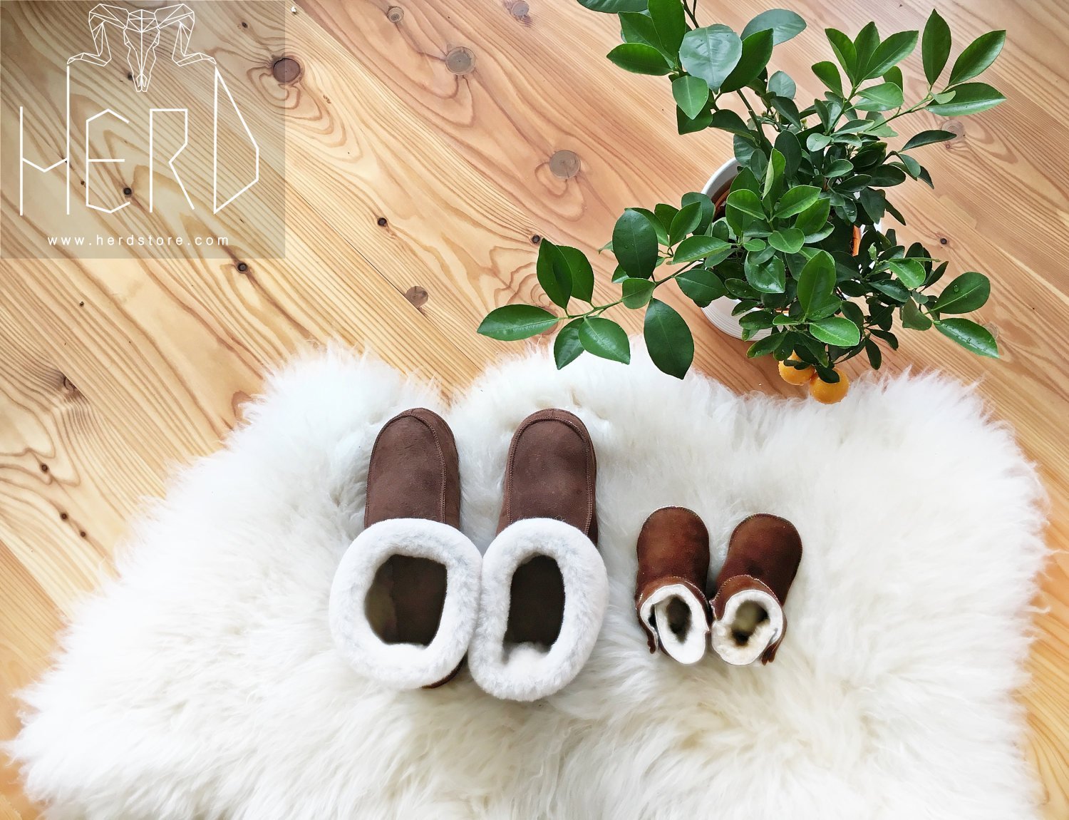 Bambosze Sheepskin Slippers made from natural sheepskin and leather, showcasing their elegant design and craftsmanship.