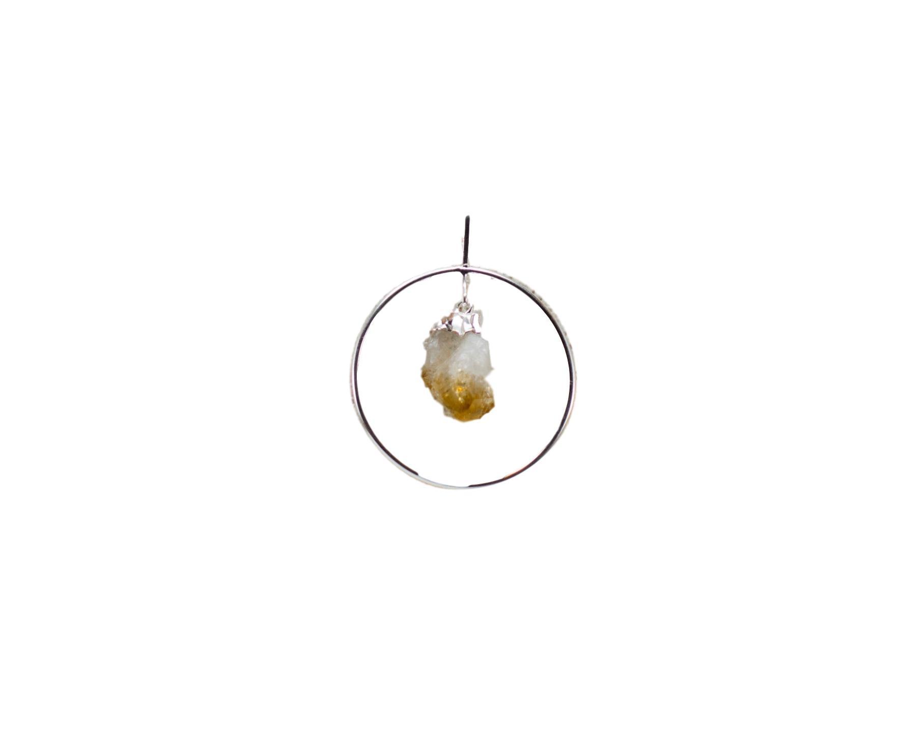 A beautiful Beak Pendant featuring a bright yellow citrine and a dark purple amethyst, elegantly hanging from a polished silver sphere.