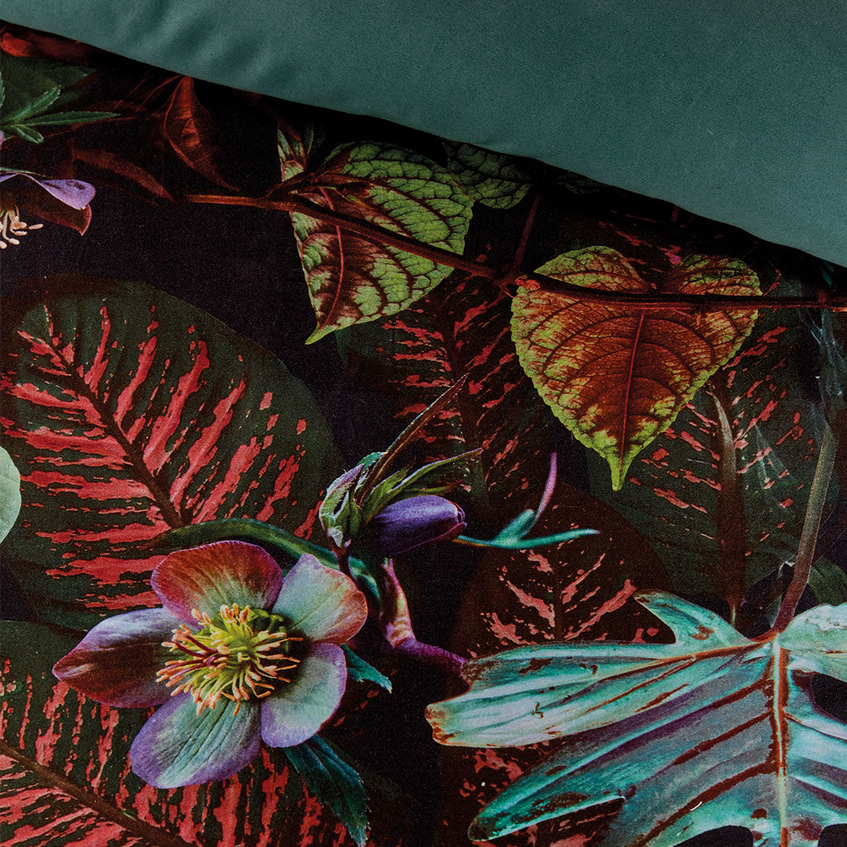 Dusk to Dawn Dark Green Cotton Sateen Quilt Cover Set featuring tropical rainforest print and soft texture.