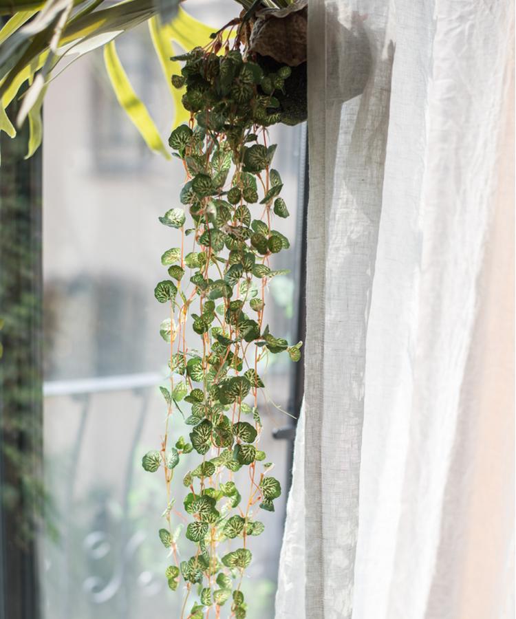 A 27-inch long Begonia Leaf Hanging Vine featuring realistic green leaves made from plastic and silk cloth, perfect for indoor and outdoor decor.