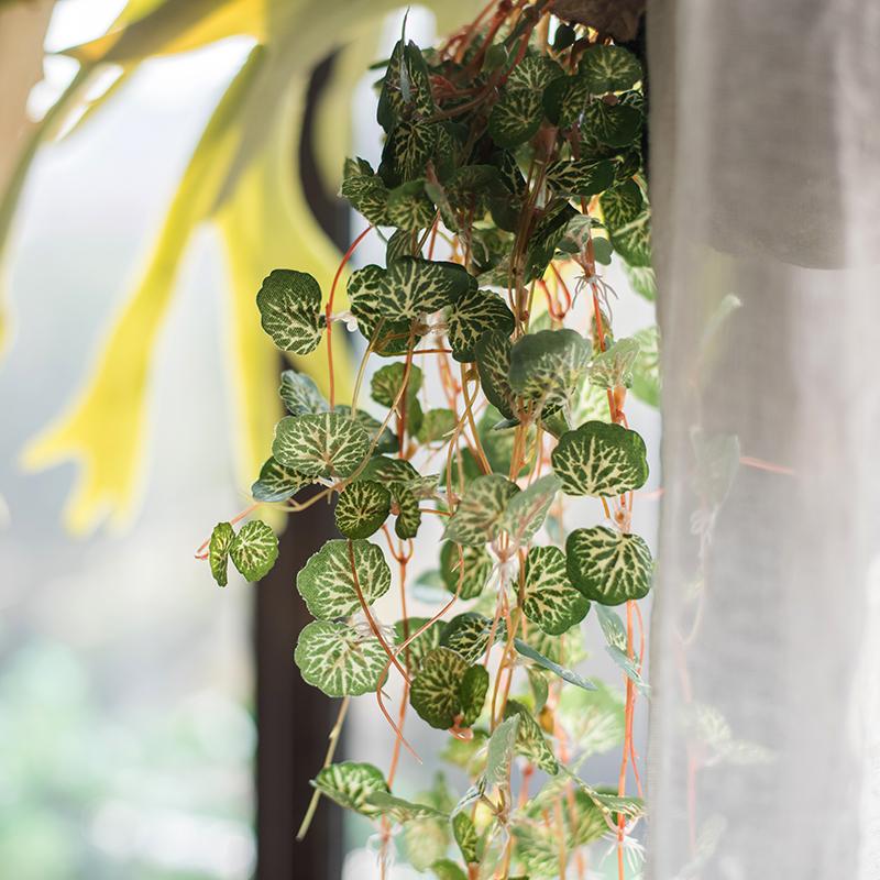 A 27-inch long Begonia Leaf Hanging Vine featuring realistic green leaves made from plastic and silk cloth, perfect for indoor and outdoor decor.