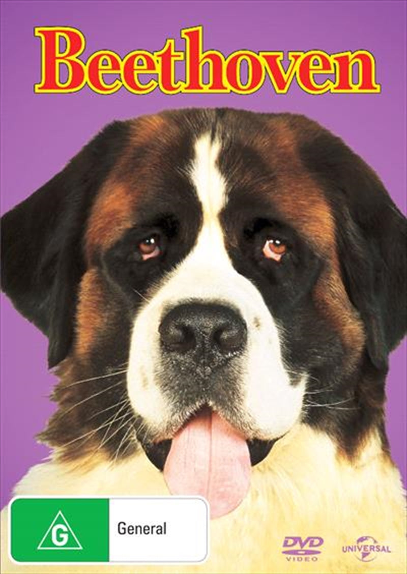 Beethoven, the lovable St. Bernard, featured on the DVD cover, showcasing his big face and playful demeanor.