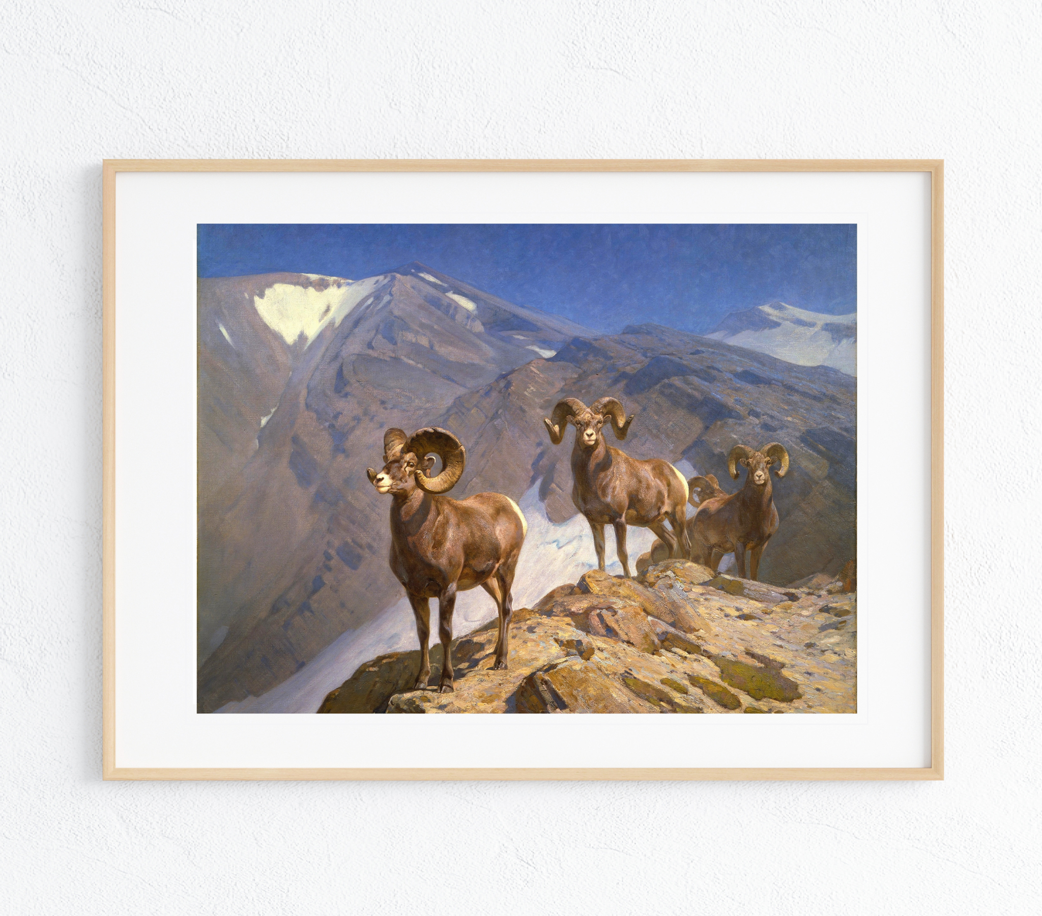 A vibrant canvas art print featuring a majestic Big Horn Sheep in a stunning landscape, showcasing rich colors and intricate details.