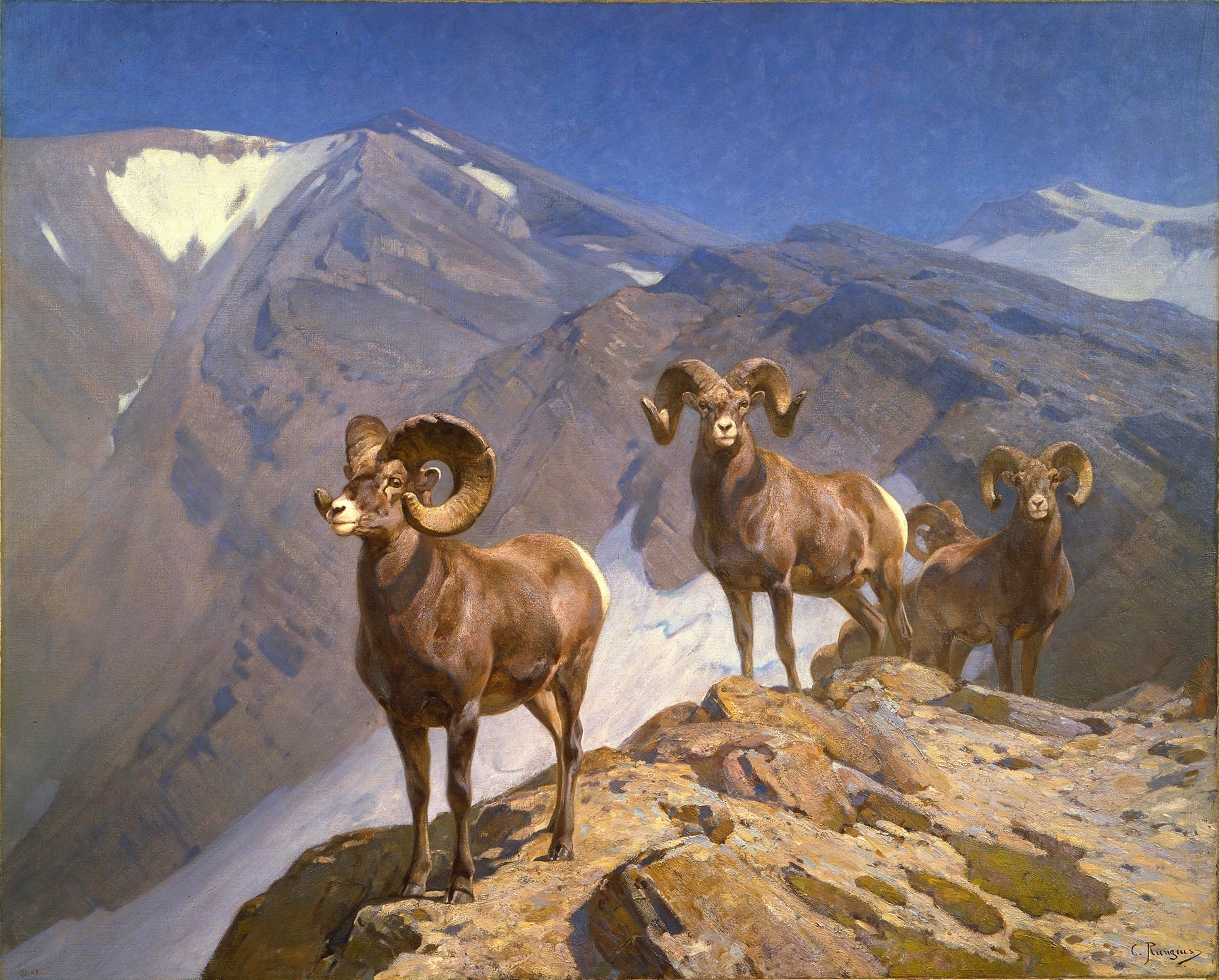 A vibrant canvas art print featuring a majestic Big Horn Sheep in a stunning landscape, showcasing rich colors and intricate details.