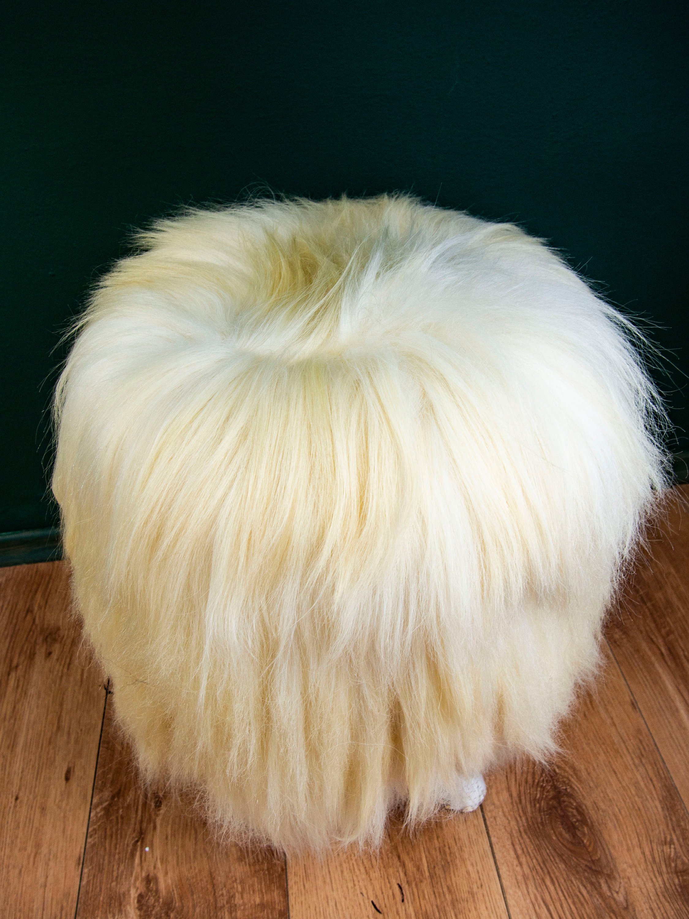 Birch wood and cream sheepskin ottoman showcasing its fluffy texture and elegant design, perfect for home decor.