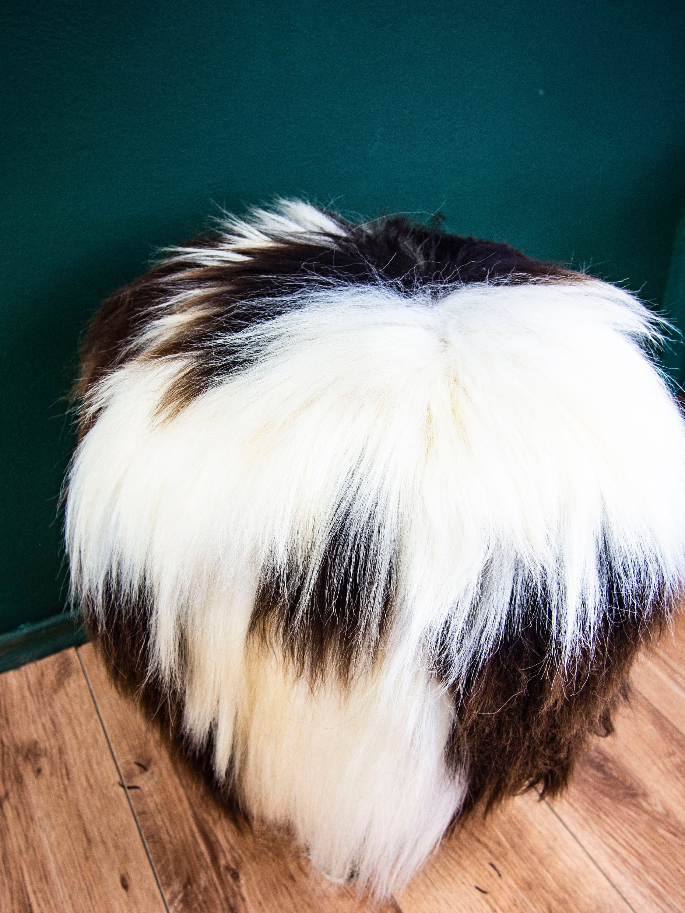 Birch wood ottoman upholstered with fluffy Jacob sheepskin, showcasing its elegant design and natural materials.