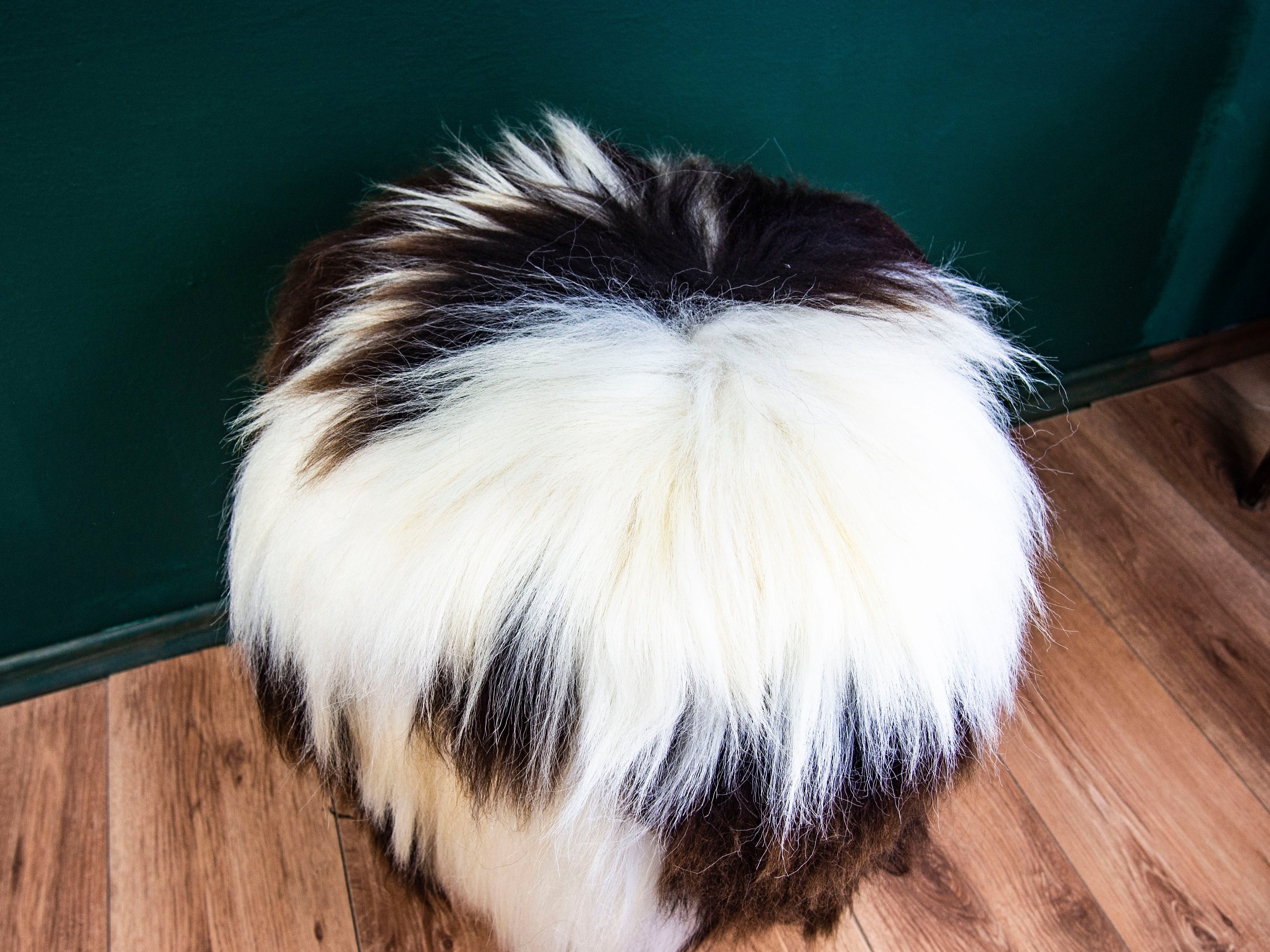 Birch wood ottoman upholstered with fluffy Jacob sheepskin, showcasing its elegant design and natural materials.