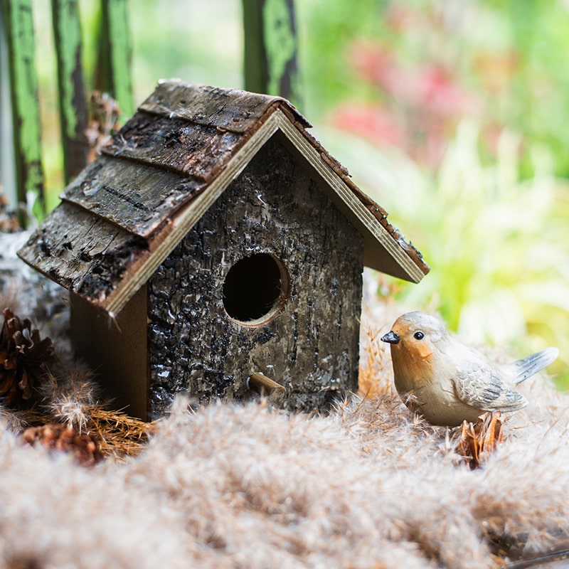 Birch Wood Decorative Bird House with natural wood finish, showcasing unique handcrafted design and dimensions.