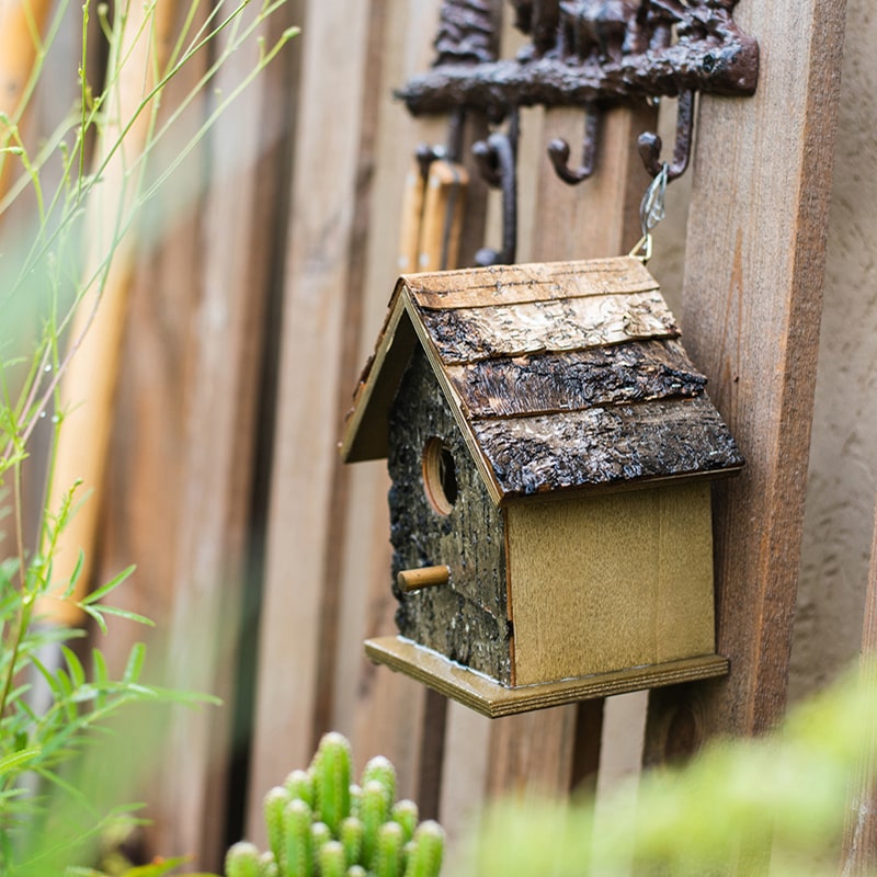 Birch Wood Decorative Bird House with natural wood finish, showcasing unique handcrafted design and dimensions.