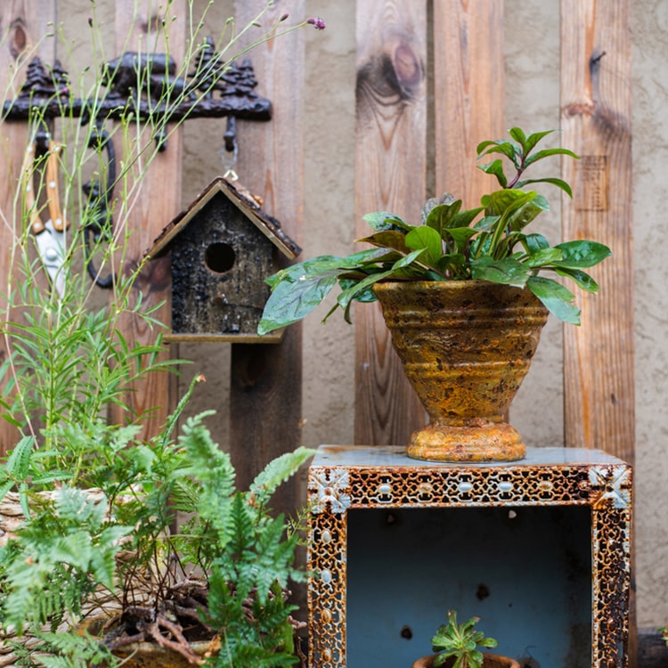 Birch Wood Decorative Bird House with natural wood finish, showcasing unique handcrafted design and dimensions.