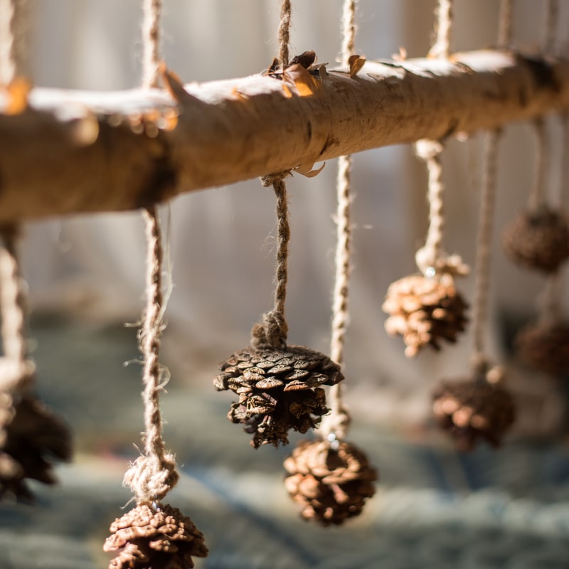 Birch Wood Photo Wall Hanger featuring natural wood, hemp rope, and pine cones, showcasing a rustic and stylish design.