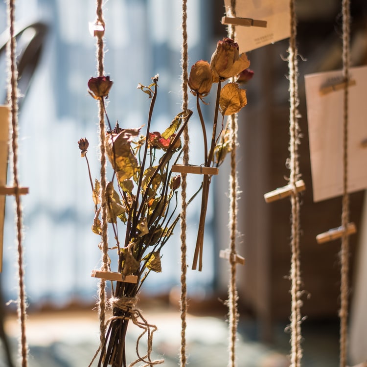 Birch Wood Photo Wall Hanger featuring natural wood, hemp rope, and pine cones, showcasing a rustic and stylish design.