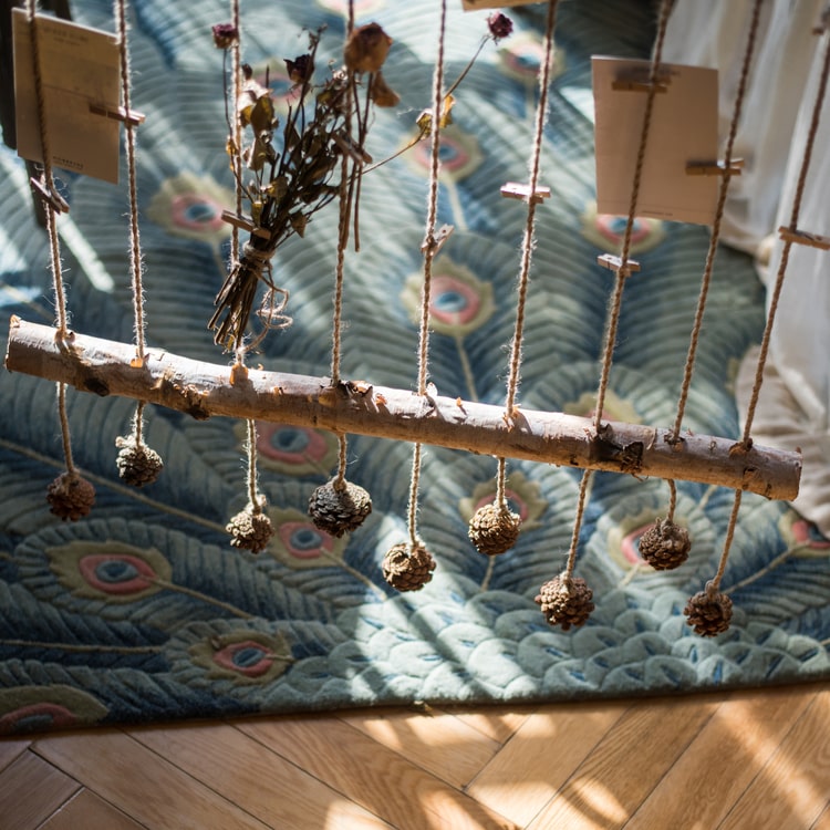 Birch Wood Photo Wall Hanger featuring natural wood, hemp rope, and pine cones, showcasing a rustic and stylish design.