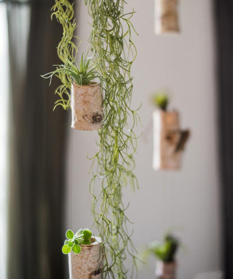 Birch wood tiny planter string hanging planter decoration with three planters in natural khaki color, showcasing a stylish indoor plant display.