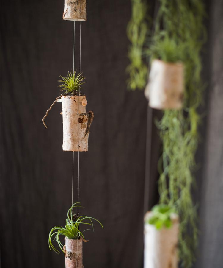 Birch wood tiny planter string hanging planter decoration with three planters in natural khaki color, showcasing a stylish indoor plant display.