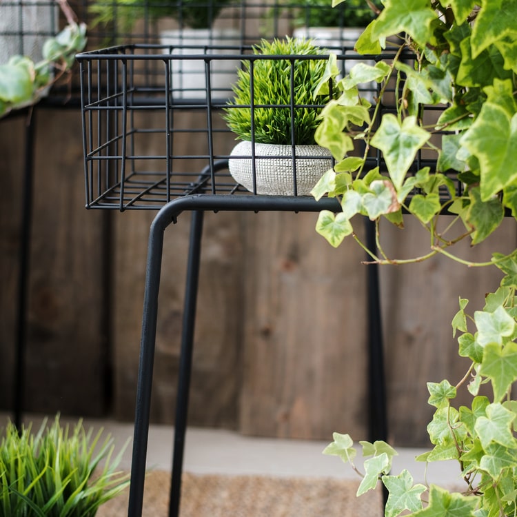 Black metal plant stand showcasing a modern design, perfect for indoor and outdoor use.