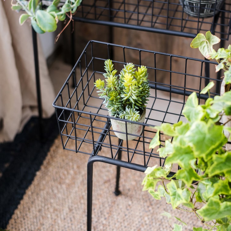 Black metal plant stand showcasing a modern design, perfect for indoor and outdoor use.