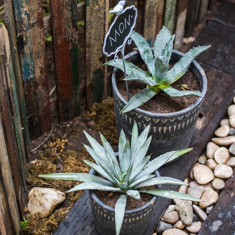 A stylish black pottery cement planter in various sizes, showcasing its modern design and durability.