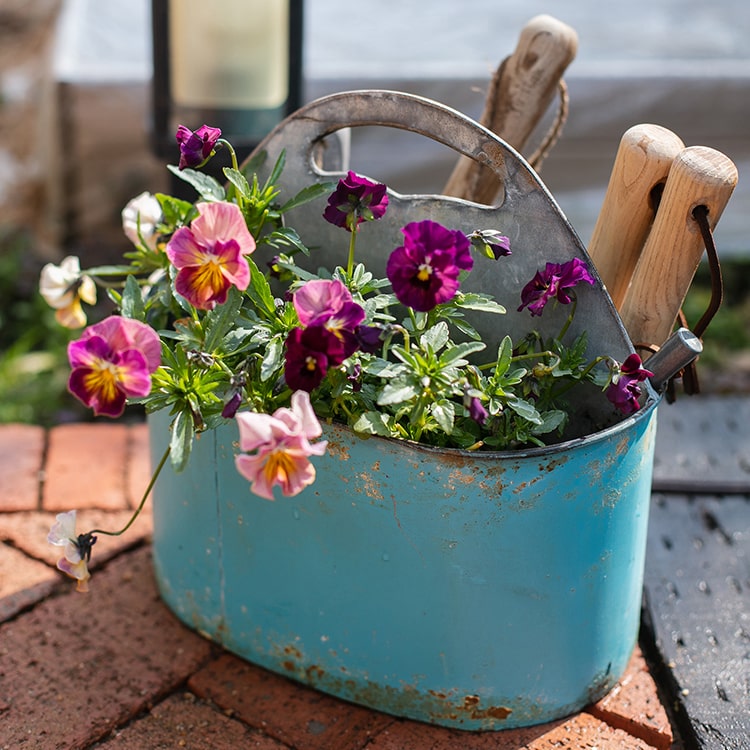 A vibrant turquoise blue metal basket tool organizer, perfect for storing gardening tools and accessories in a flower garden.